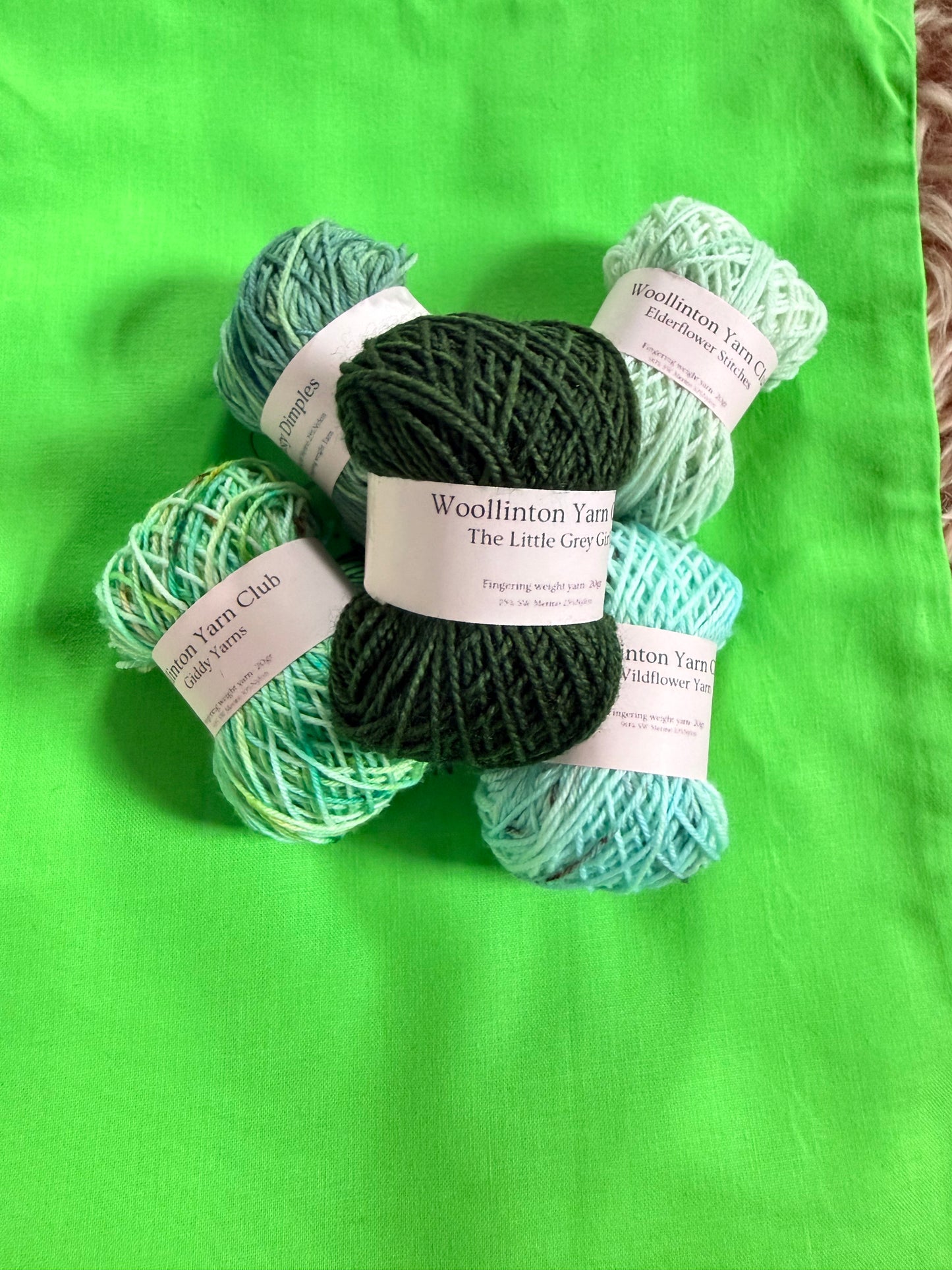 Rainbow Blanket Club - GREEN 💚
